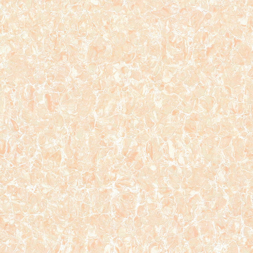 LP8704